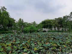 -惠州西湖丰渚园