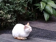 -星河湾商业街地面停车场