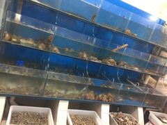 -宾朋海鲜特色美食餐厅·纯手工鲅鱼水饺(兴海路店)