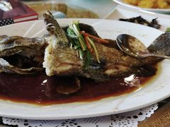 老虎斑鱼-万宝海鲜舫(劳动公园店)