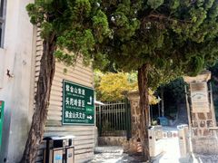 -紫金山山顶公园