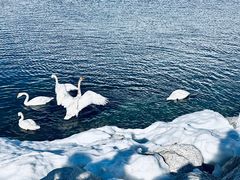 -赛里木湖风景名胜区