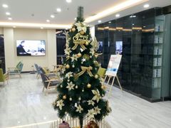 -编贝口腔(美盛中心店)