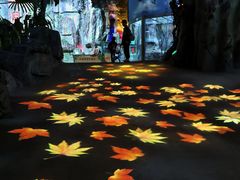 -泉城欧乐堡海洋极地世界