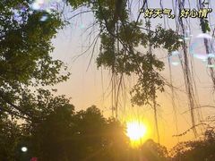 -观澜山水田园