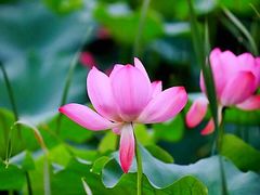 -中粮万科长阳半岛