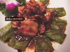 老广酒楼-老广酒楼(樱花店)