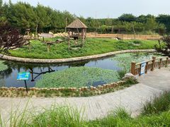 -石家庄市动物园