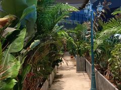 -柏粤汇PARKVIEW KTV(欢乐海岸店)