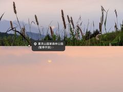 -途柚团建·拓展培训·年会策划