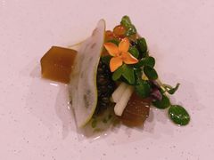 -蝶舍·MAISON PAPILLON