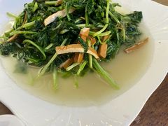 -小春农家乐