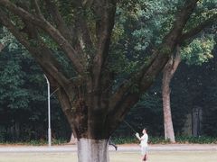 -东莞植物园