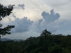 -火炉山森林公园