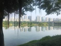 -南宁南湖公园