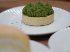 -猫里有甜