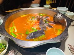 -亮欢寨快活林 酸汤鱼(仁怀店)