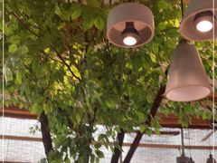 -蜜桃餐厅·伴山(湖滨商业街店)