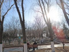 -大兴滨河森林公园