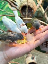-Zoolung Zoolung动物主题公园(海信广场店)