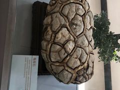 -中国第四纪冰川遗迹陈列馆