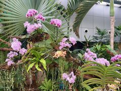 -北京植物园-展览温室