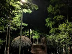 -青枫公园