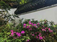 -杭州黄龙洞