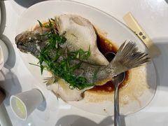 -至潮餐厅精致粤菜·活鲈鱼·走地鸡(珠江新城店)