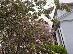 -南通博物苑-崇川人民公园