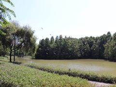 -顺峰山公园