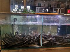 水产区-本炙炭烤·蒲烧活鳗料理店(金沙洲店)
