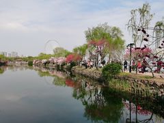 -无锡蠡湖国家湿地公园-蠡园