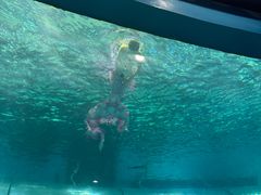 -苏州海洋馆