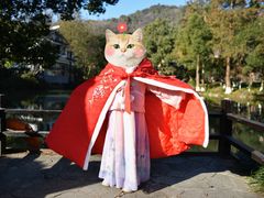 -杭州花家山庄