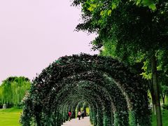 -河北省园博园