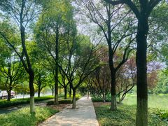 -昆山城市生态森林公园