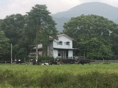 -瑞穗牧场