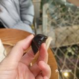 喝咖啡不要太猎奇