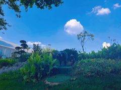 -西安电影制片厂