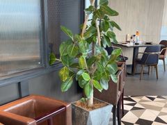 -西堤牛排(番禺天河城店)