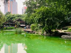 -静安公园(静安寺街道)