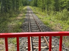 -莫尔道嘎国家森林公园