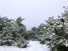 -雪山彩虹谷景区