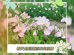 -滆湖低碳生态公园