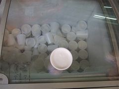-洪馨椰子