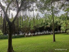 -深圳湾公园(南山区)