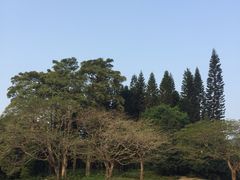 -四海公园(南山区)