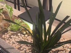 -老村长•湖北家常菜(胜利街店)