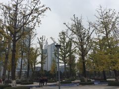 -百林公园-两江幸福广场